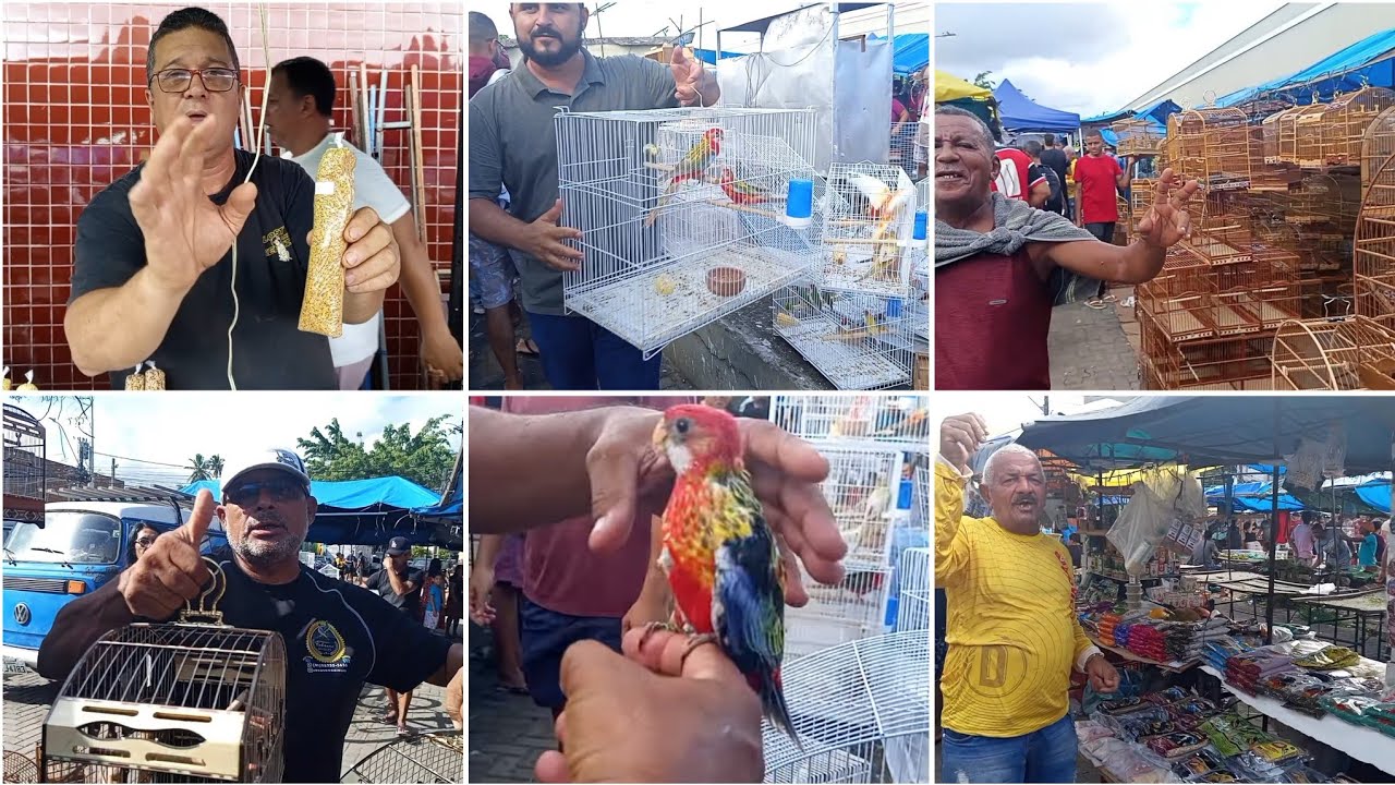 [ PARTE 2 ] FEIRA DO CORDEIRO, ROCK PET NÃO LEMBREI!! 😥 DIA DAS MULHERES!! 08/03/26.