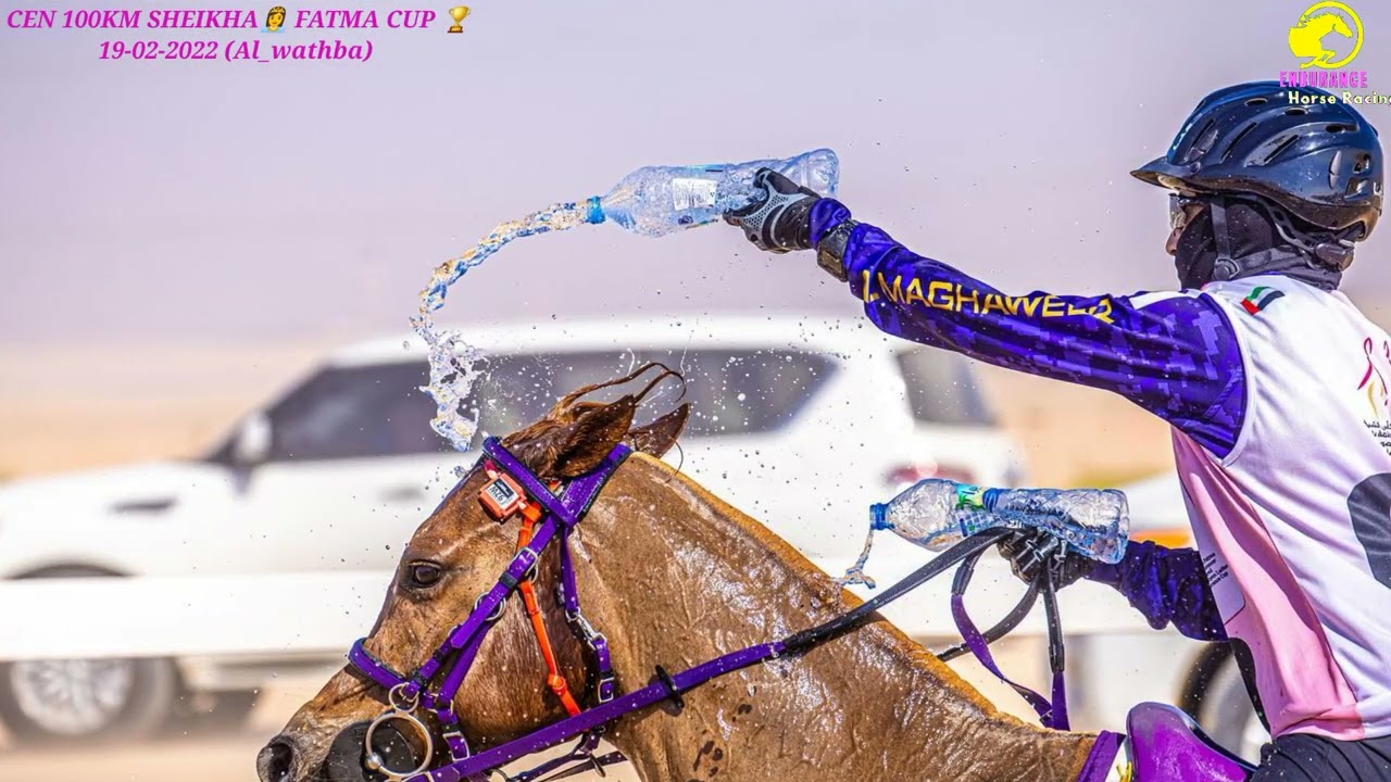 SHEIKHA FATMA CUP🏆🏇 19-02-2022 @ Al wathba endurance village abudhabi 🇦🇪 #abudhabi #dubai #endurance
