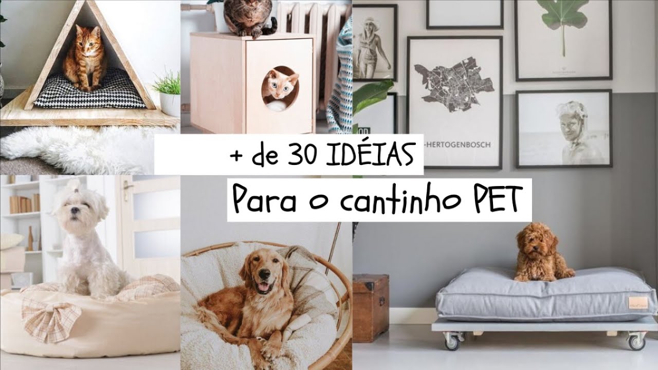 CANTINHO PET COMO DECORAR - MAIS DE 30 IDÉIAS| PINTEREST