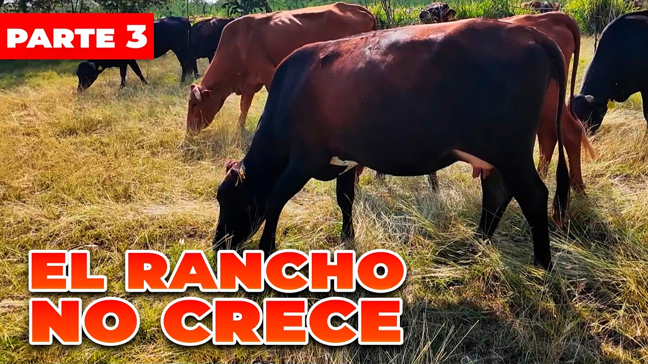 SEGUIMOS CREYENDO MENTIRAS | Jaime Elizondo | Rancho Cinco Talentos