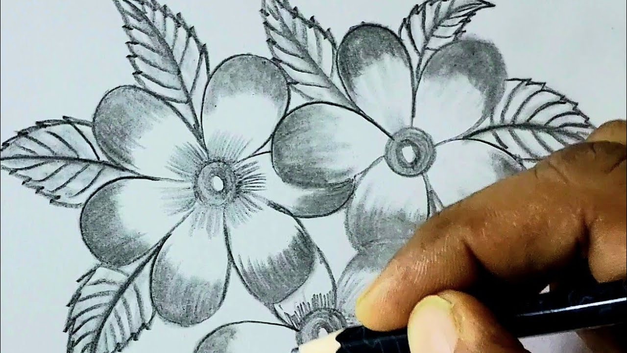 how to draw easy drawing flowers 3D drawing step1
