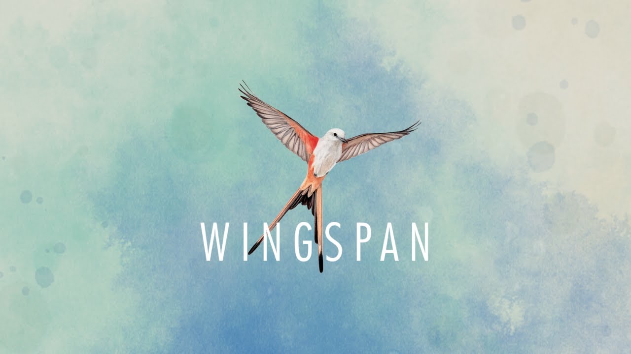 Wingspan First Look | Calming No-Commentary Gameplay for Anxiety and Sleep