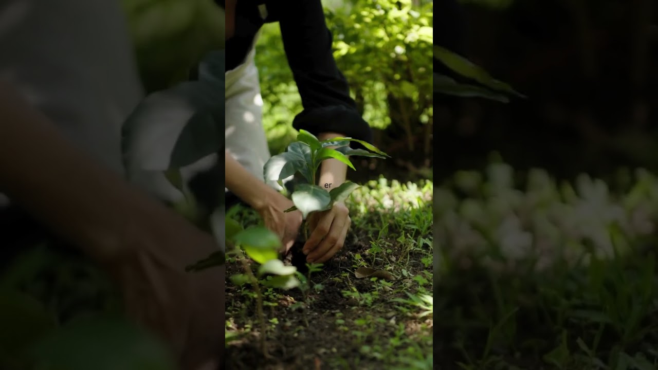 planting for next season in my edible garden #planting #ediblegarden #subscribe #ytshorts #gardening