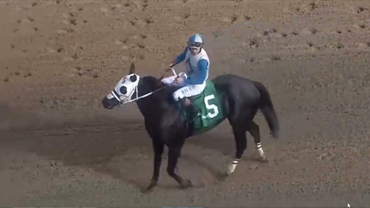 R6 GULFSTREAM PARK USA 23 JAN 2026