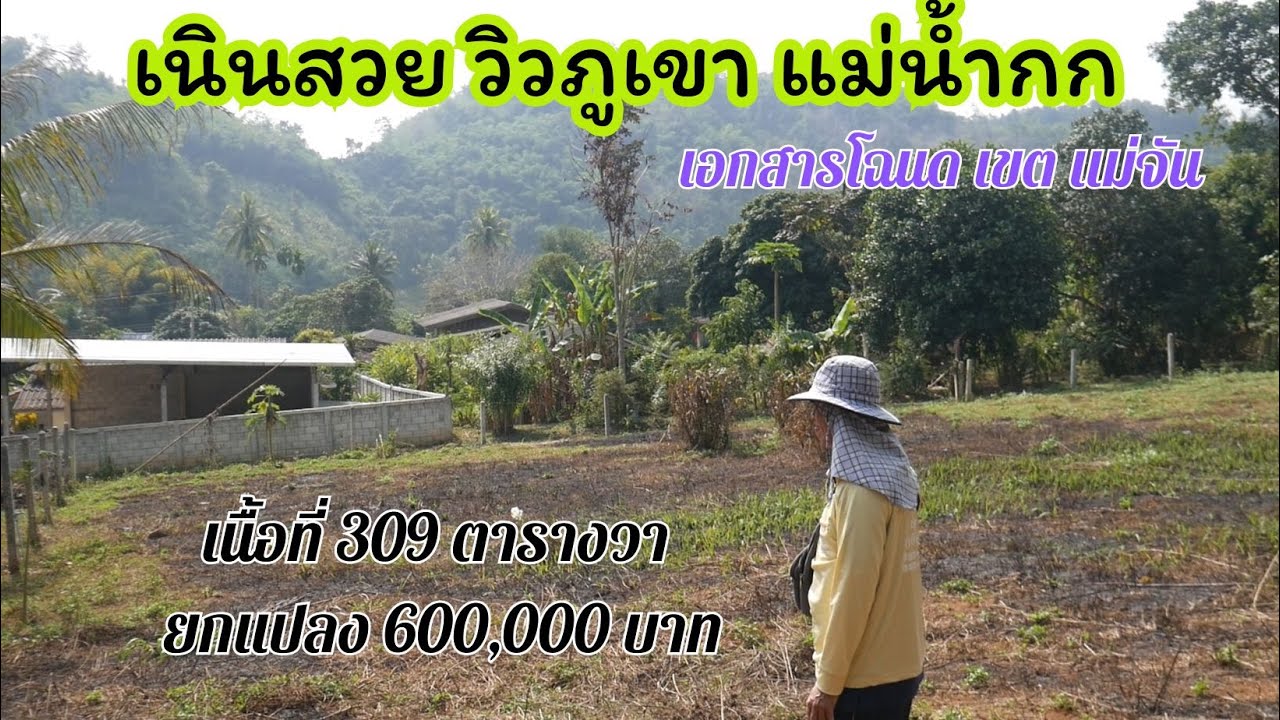 CR68002  เนินสวย วิวภูเขา 309 ตารางวา ขาย 600,000 บาท ต.ท่าข้าวเปลือก แม่จัน