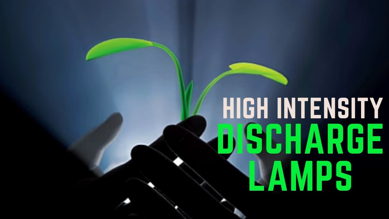 High Intensity Discharge Lamps 💡🌱