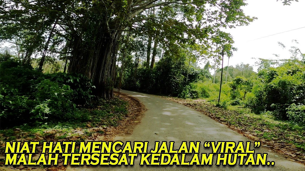 NIAT HATI MENCARI 