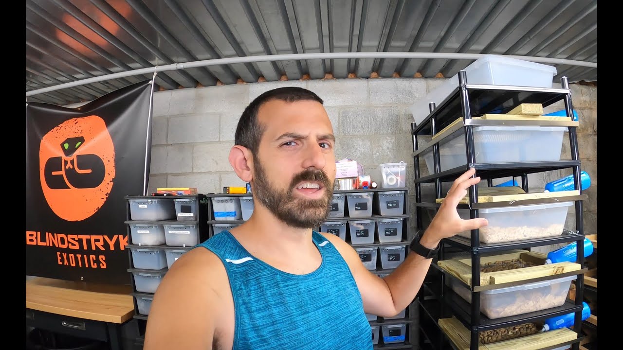 SHOULD YOU SPEND BIG $MONEY$ ON A 70 SERIES VISION RODENT RACK? - V60