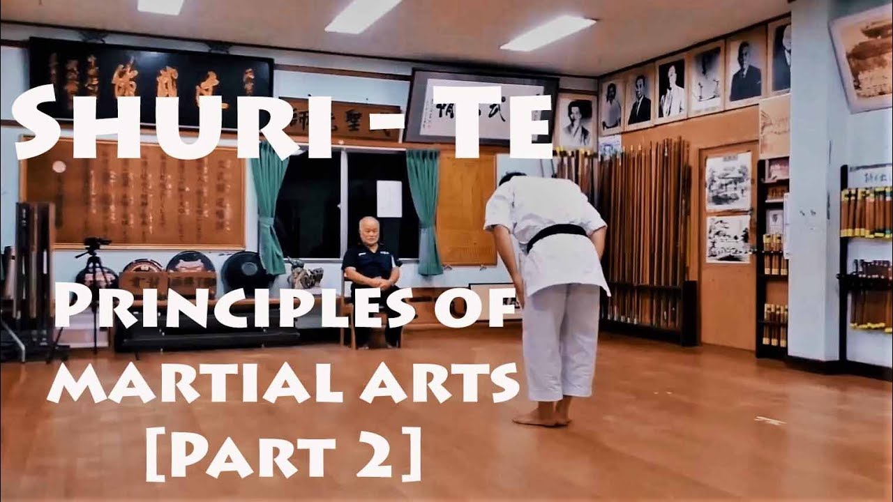 SHURI TE  - PRINCIPLES OF MARTIAL ARTS by Metin Kayar [Part 2]