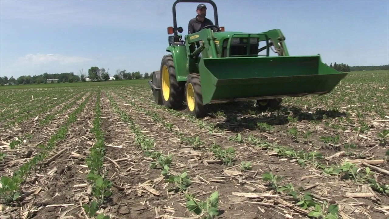 Soybean School: Rolling Soys
