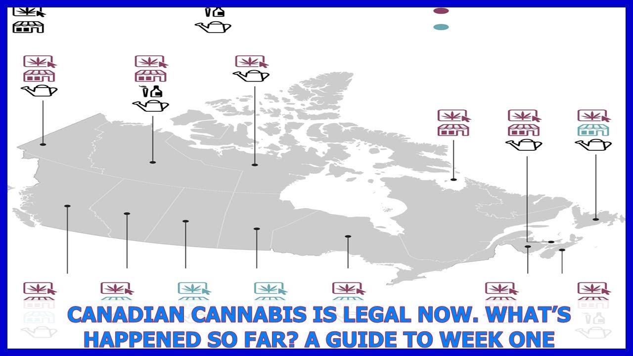 Canadian cannabis is legal now. What&rsquo;s happened so far? A guide to Week One