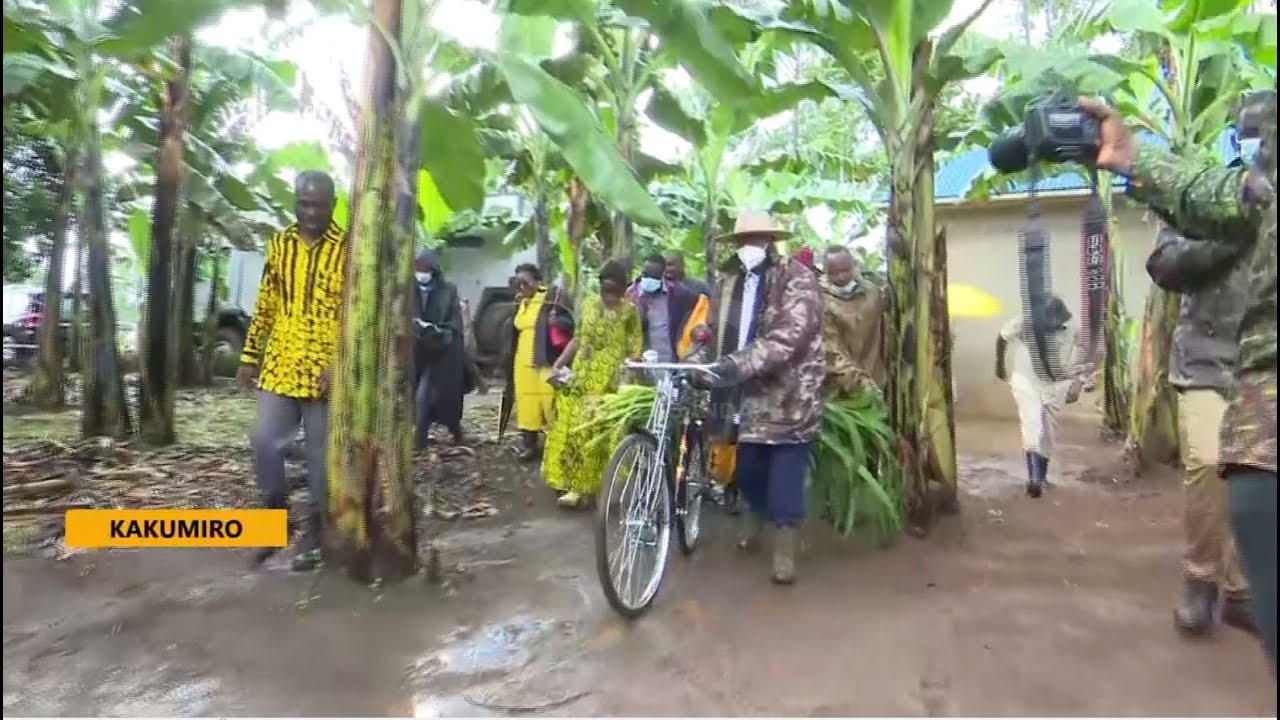 President Museveni visits Minister  Byamukama's 4 Acre demonstration farm
