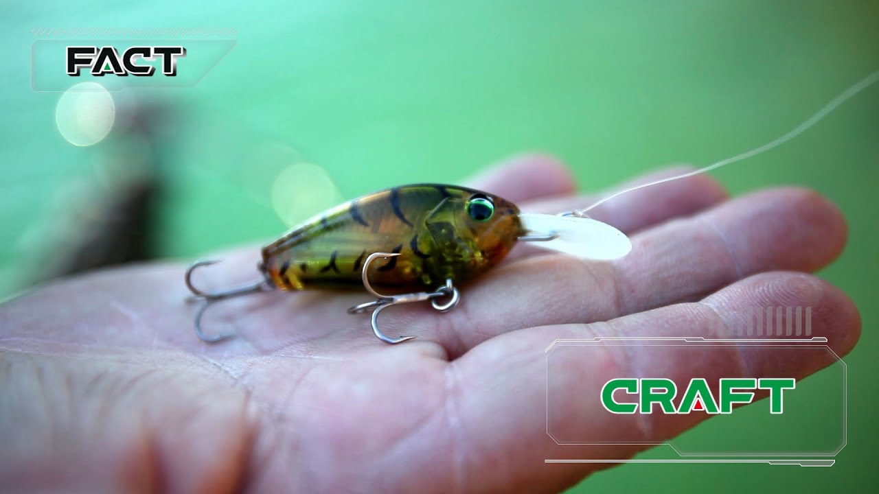 福島健 FACT CRAFT 解説