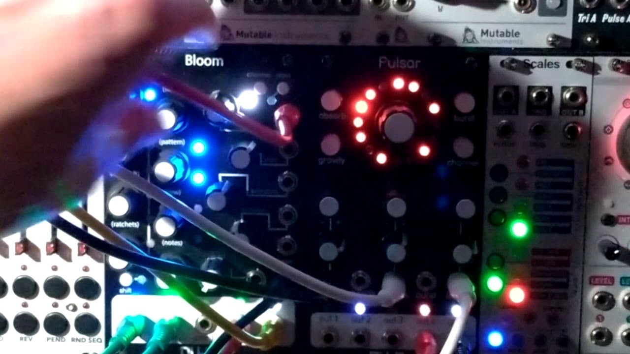 Qu Bit Pulsar Bloom Selfpatch