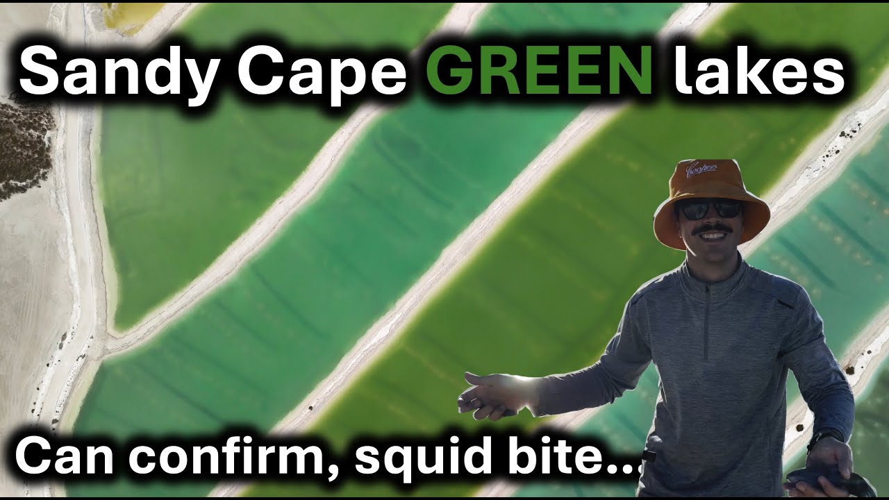 Ep21 | Relaxing at Sandy Cape | People stay here for weeks | Sandy Cape Green lakes | Squid bit me |