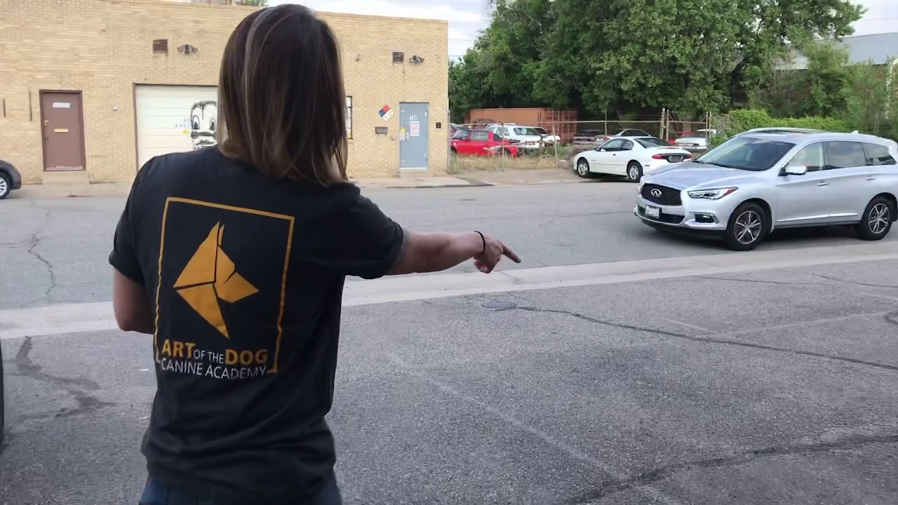 Art of the Dog Canine Academy Onboarding