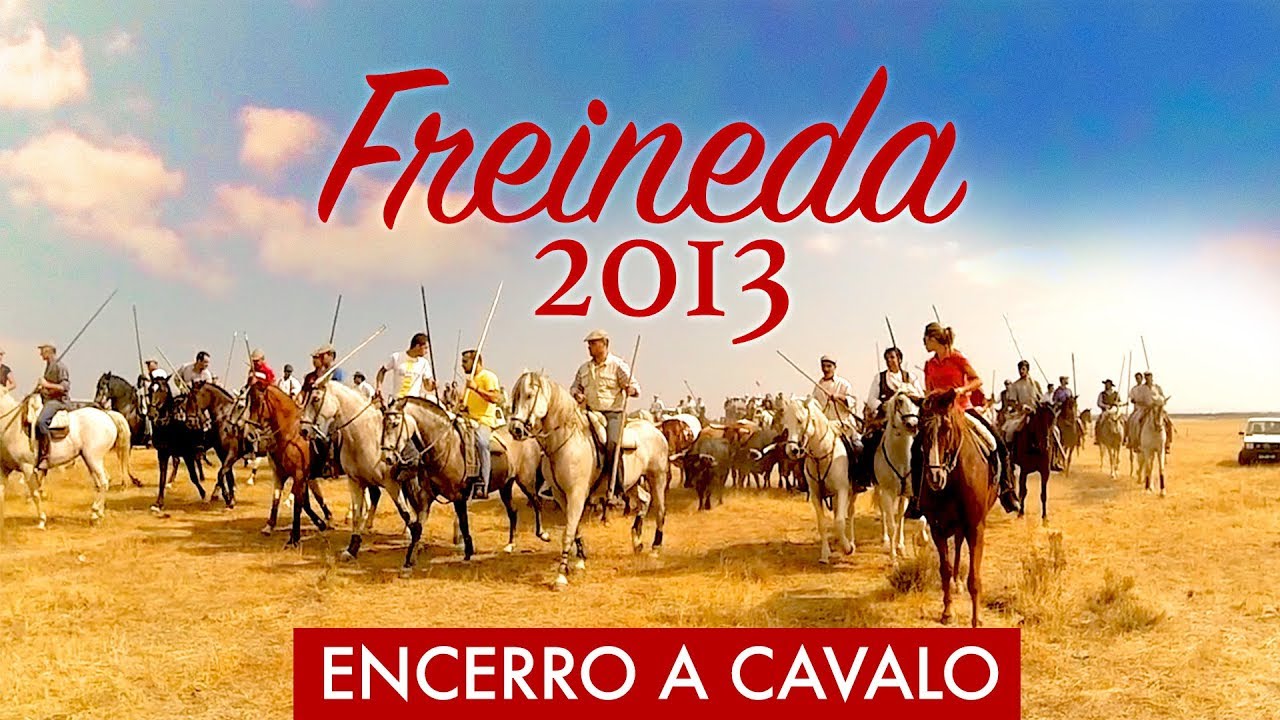 Encerro de Toiros da Freineda - Festas de Santa Eufêmia 2013