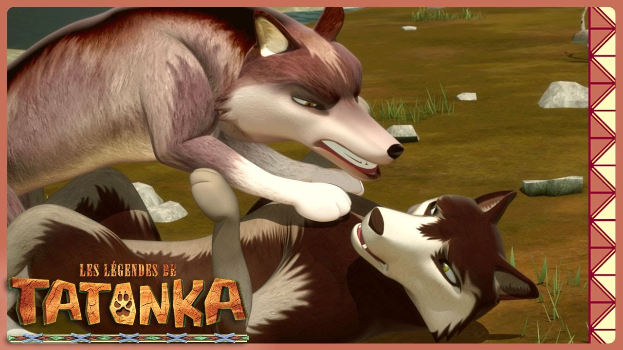 les attaques des loups renégats | Tatonka | Dessins animés d'animaux