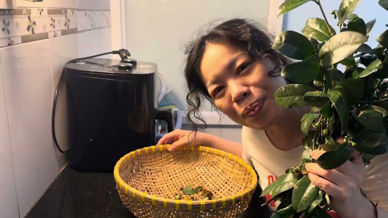 TRÀ XANH NẤU TRÁI MĂNG CỤT 