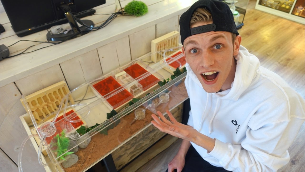 GIGANTISCHE MIEREN BOERDERIJEN! - MILANKNOL VLOG #183