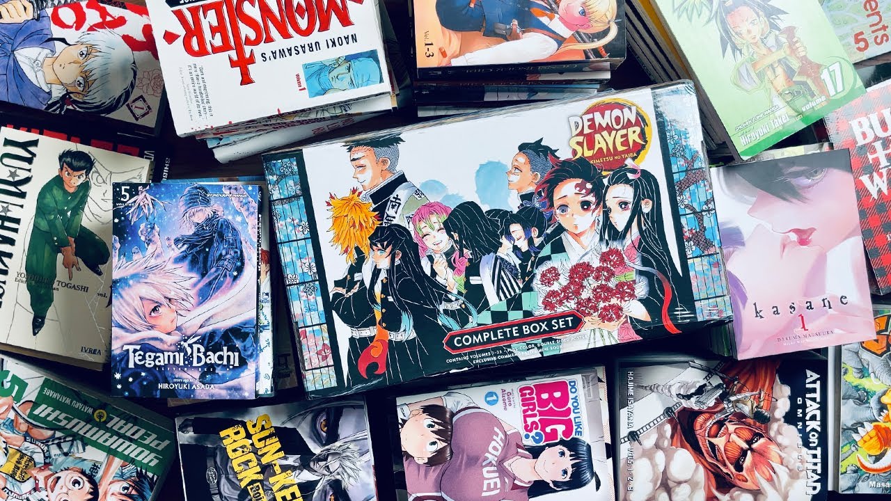 $700 MANGA HAUL! | November Manga Haul (70+ Volumes)