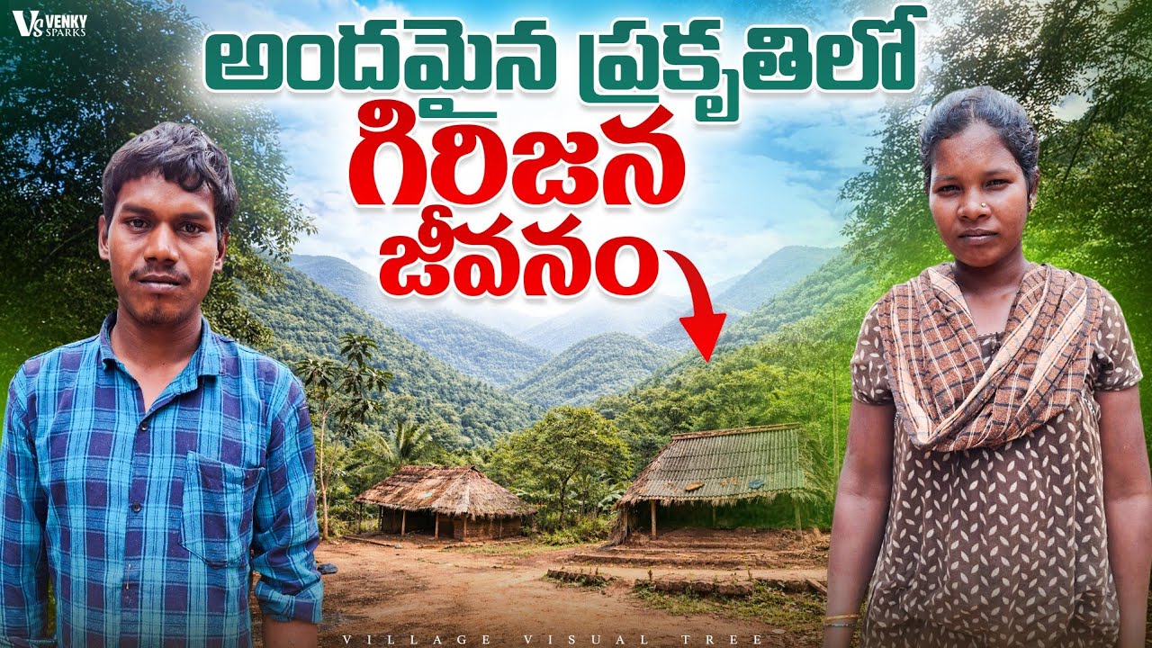 కొండల్లో ప్రశాంతమైన జీవితం || adivasi village life in tribal village