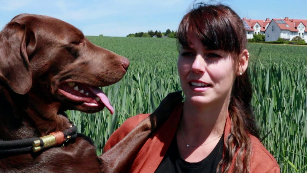 Wie Ella mein Leben veränderte - Hunde als Helden der Inklusion