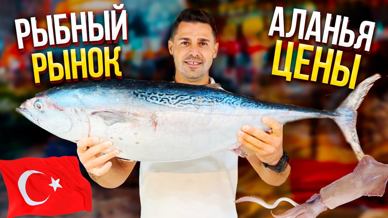 ЖИВЫЕ ГАДЫ на РЫБНОМ рынке! Дешёвый рыбный рынок в ТУРЦИИ! Всем туристам сюда❗️
