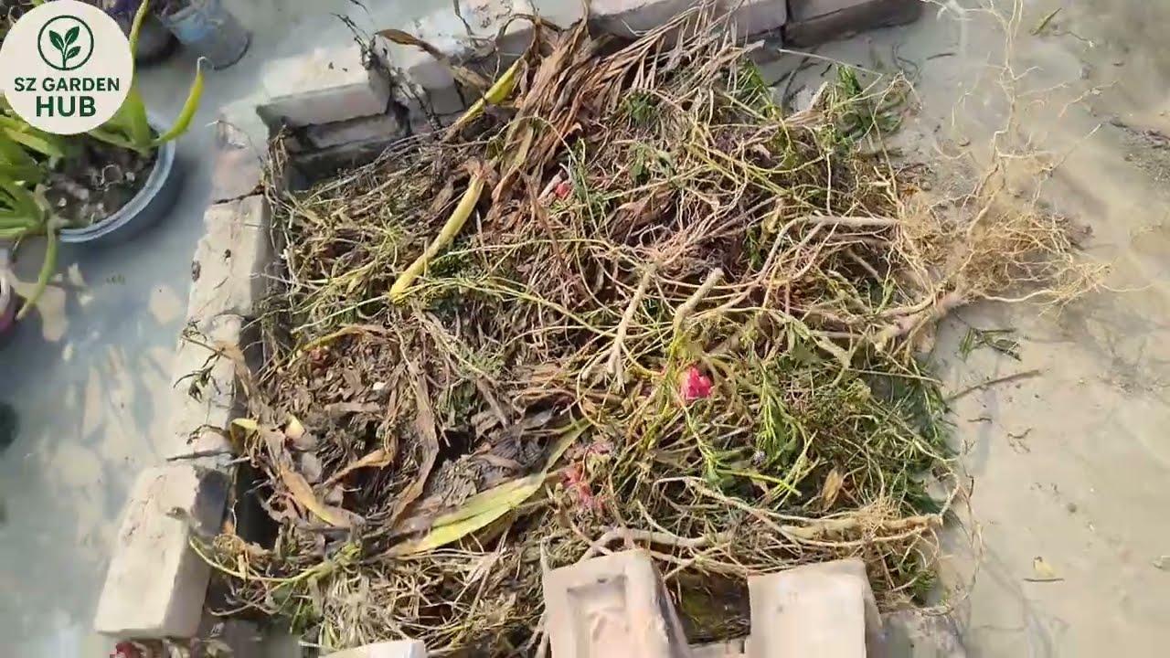 Sabziyon Ke Liye Kiyari Banaen Free Me |Green Leafy Vegetable | Sardiyon Ki Sabziyan