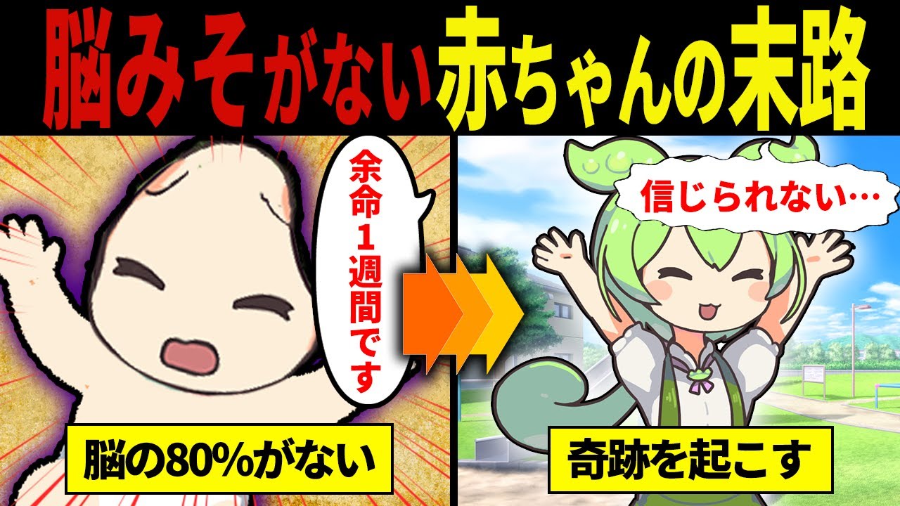 【実話】脳がないまま生まれたずんだもんの末路【ずんだもん&ゆっくり解説】