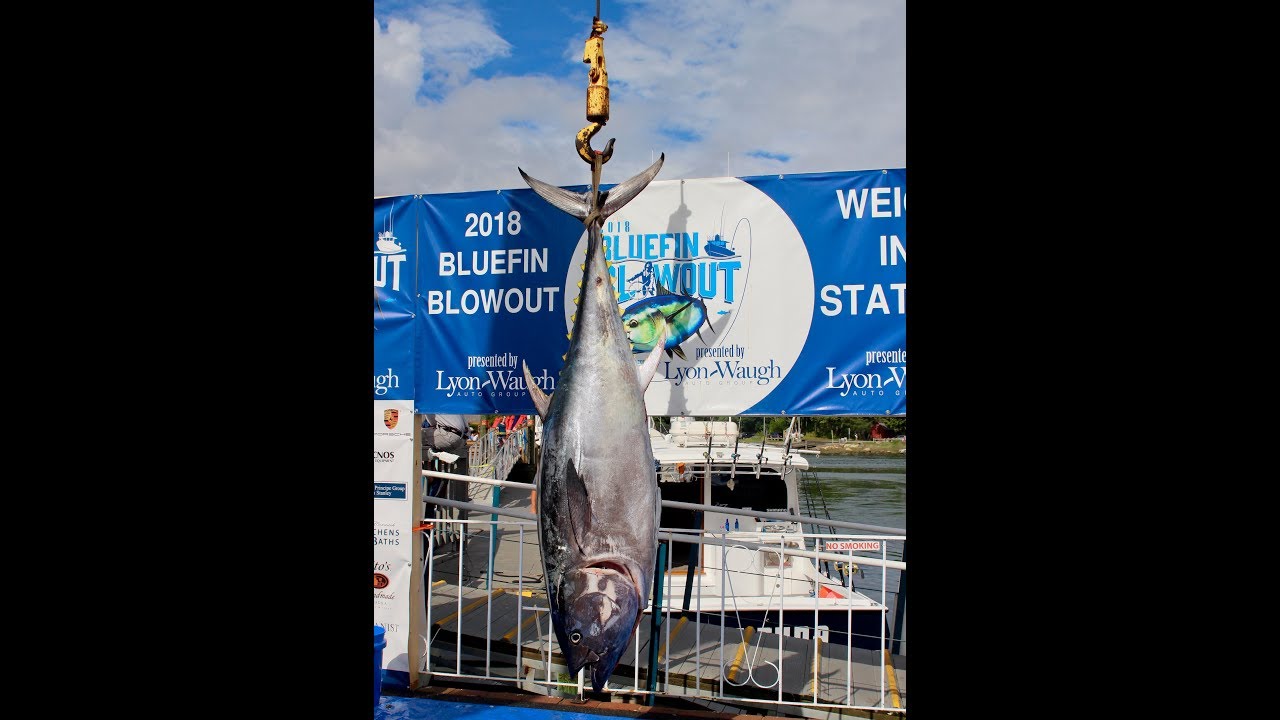 Bluefin Blowout 2018 #bfb18