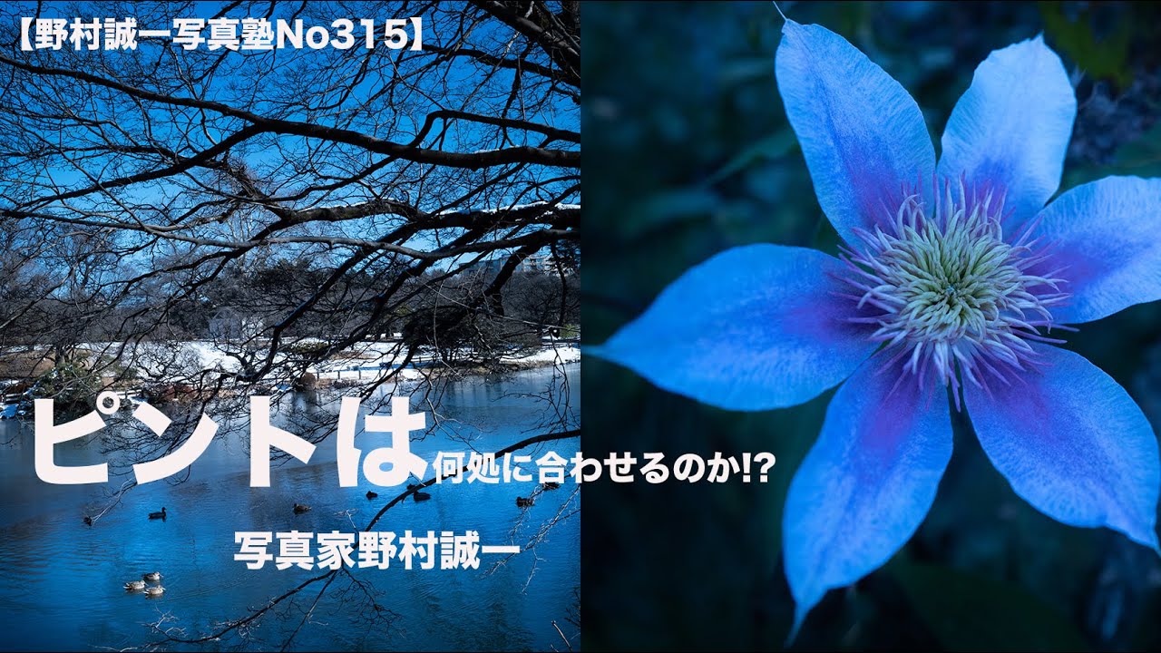 【野村誠一写真塾No315】ピントは、何処に合わせるの!?