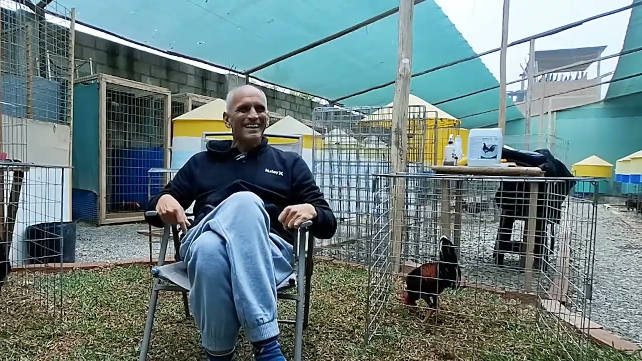 Conversatorio de Gallos