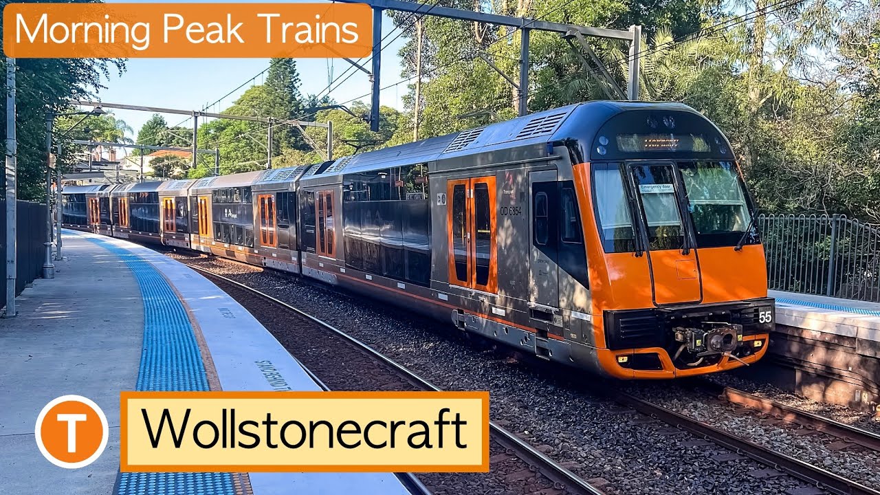 Transport for Sydney Vlog 1101: Wollstonecraft Part 5 - Morning Peak Trains