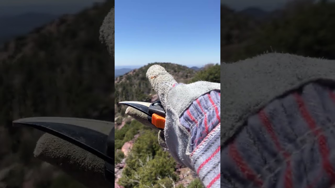 Peak 7549 - Mazatzal Wilderness, AZ - 4/20/24