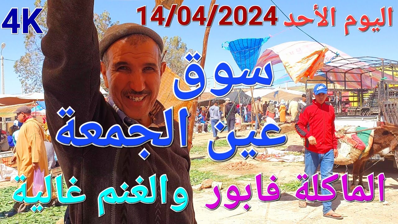 أثمنة الغنم والخضر واللحوم سوق عين الجمعة اليوم الأحد 14/04/2024