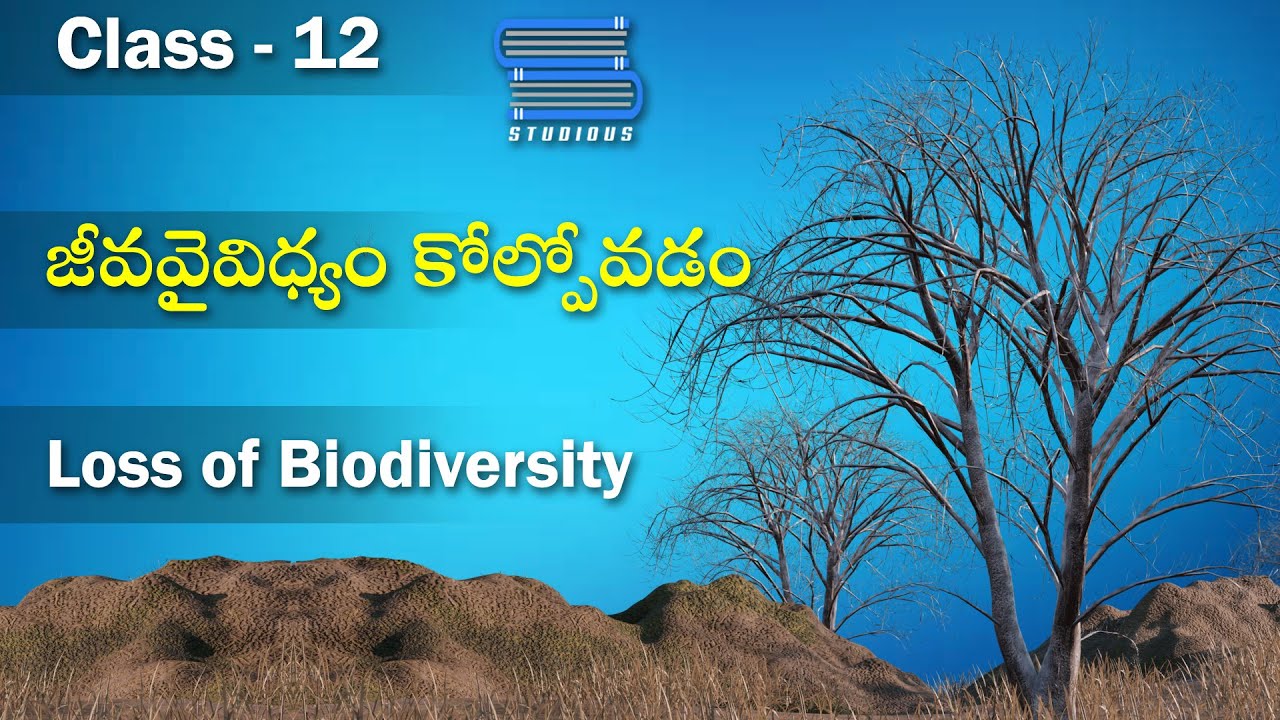 జీవవైవిధ్యం కోల్పోవడం - Loss of Biodiversity | Biodiversity and Conservation  Biology Class 12 Bipc