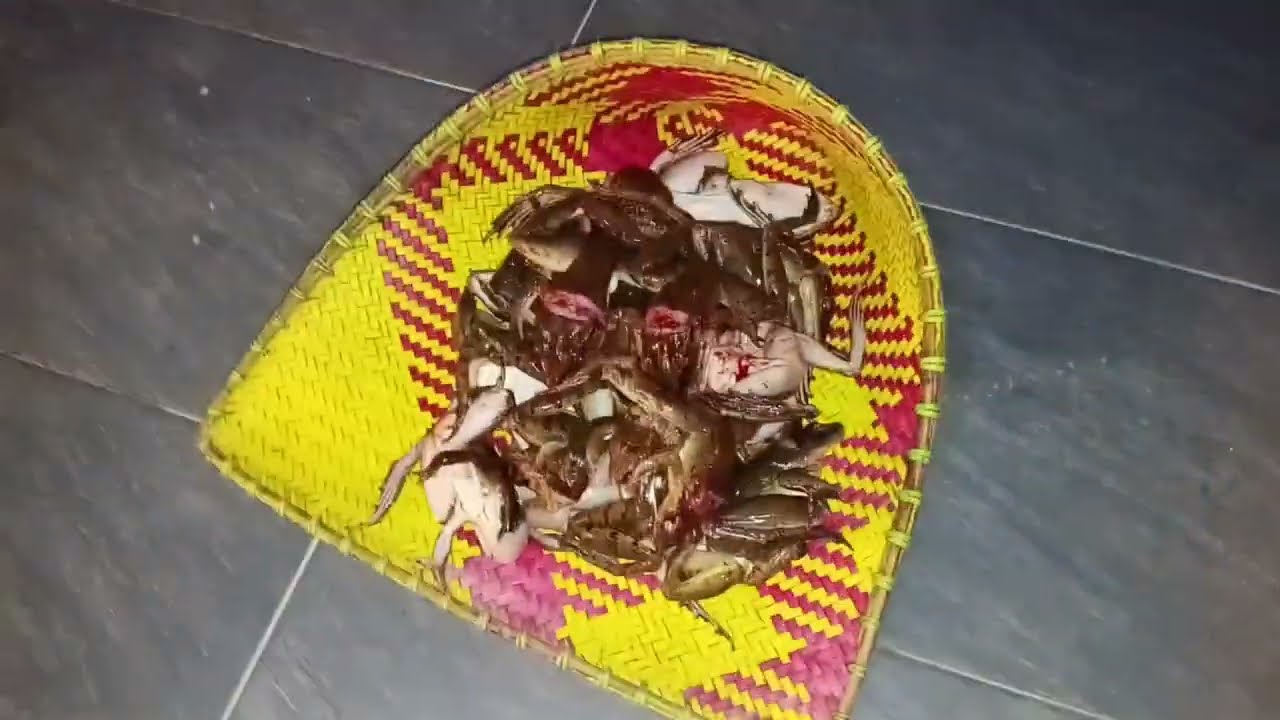 Nyuluh ai pelajau ll jalai jai lama udah ditinggal
