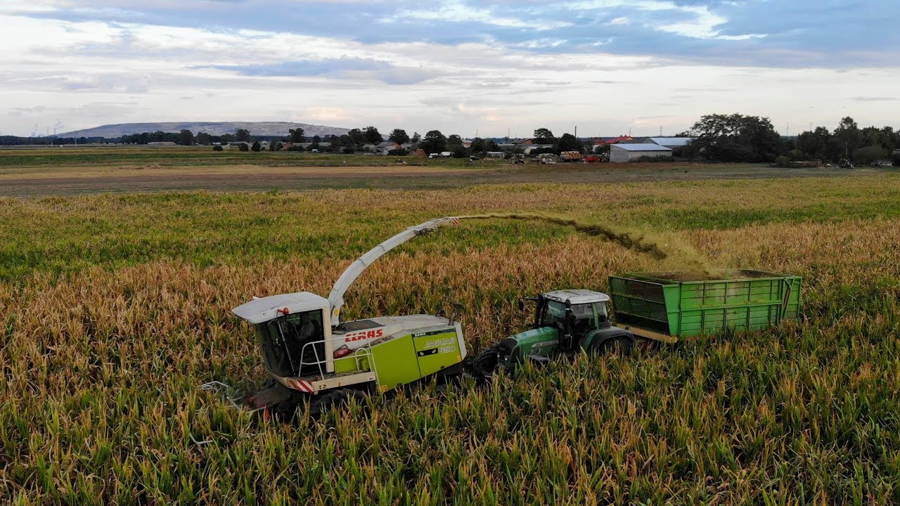 Kiszonka z kukurydzy na wysokim poziomie 2019 [4K] DJI mavic air FENDT CLAAS NH