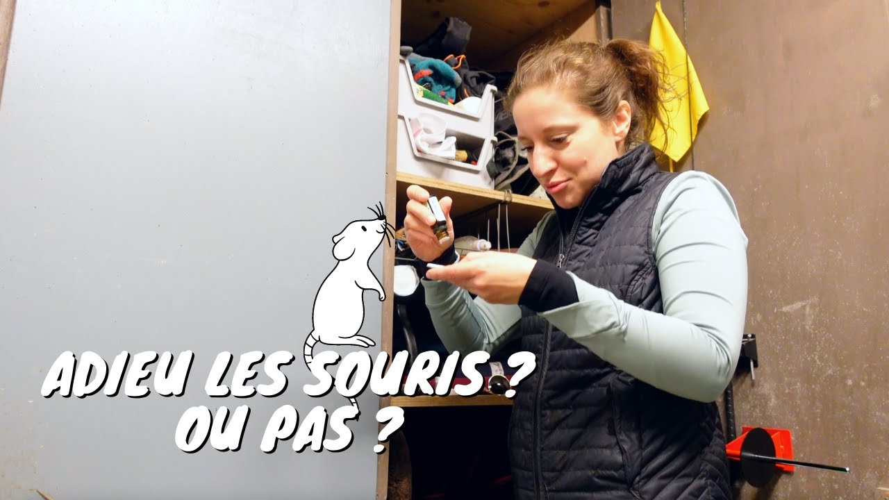 Huiles essentielles VS Souris