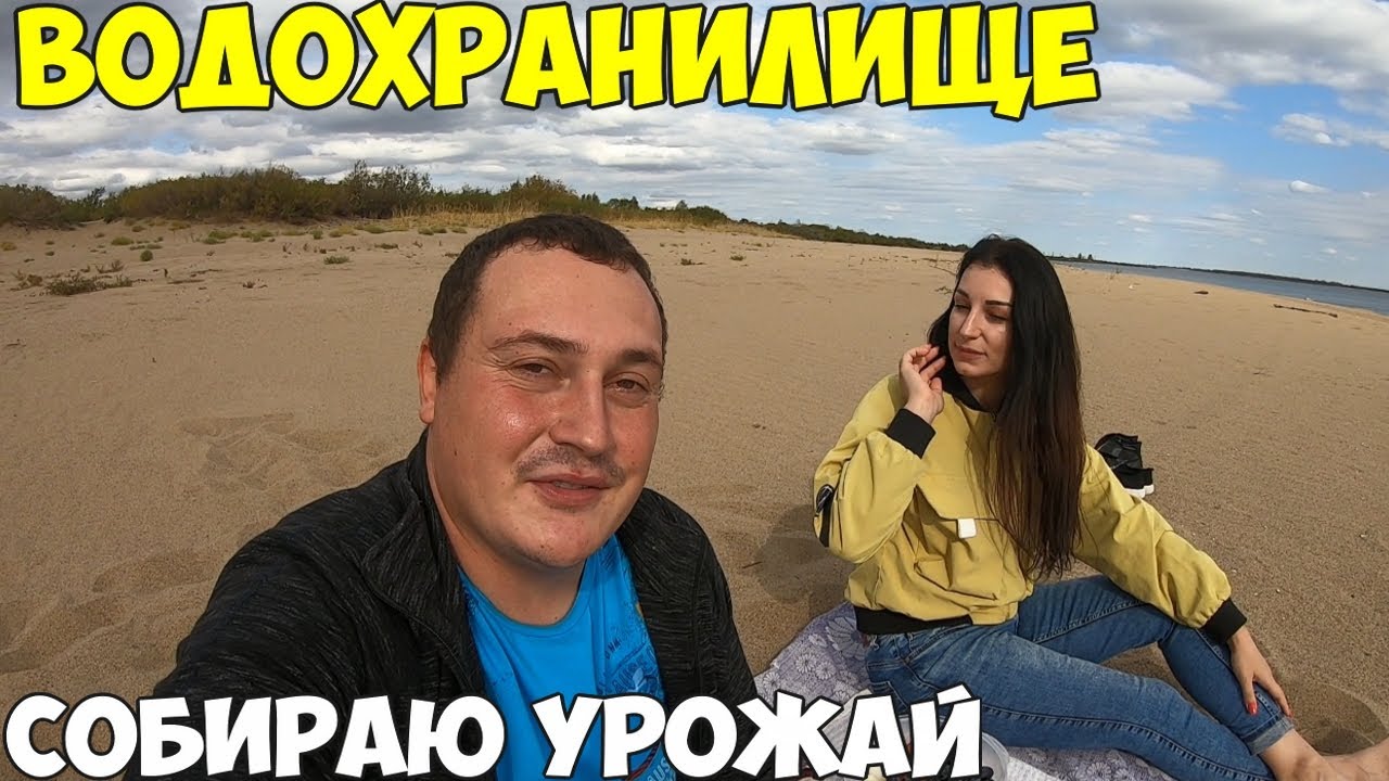 Дача собираю урожай, копаю картошку. Пикник на Каратомарах  Готовим пирог с груздями