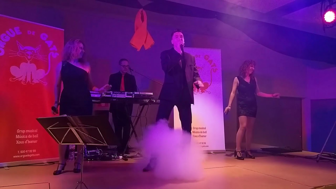 Grup Musical Orgue de Gats a Sant Climenç de Pinell 2018