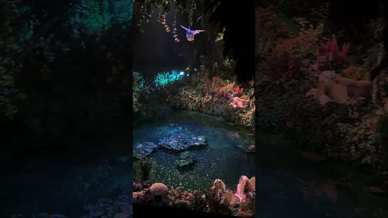 Droomvlucht Onride At The Efteling 23 January 2026