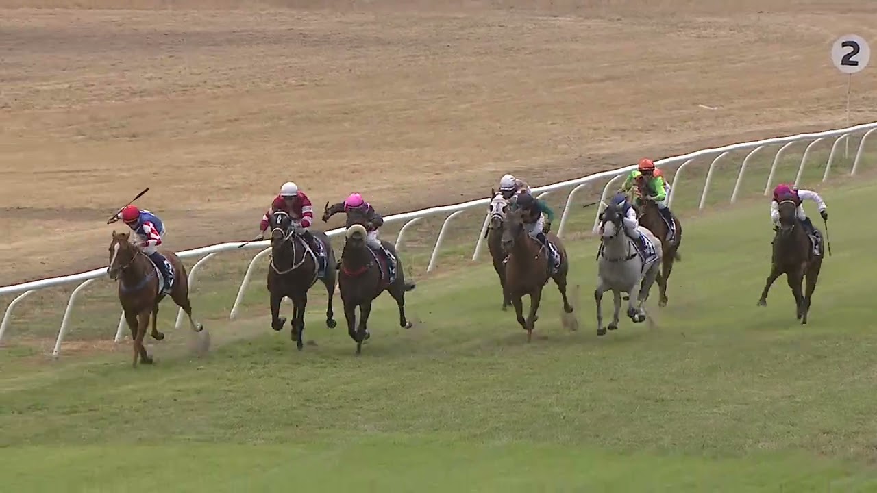 Holbrook 14 02 2026 Race 5