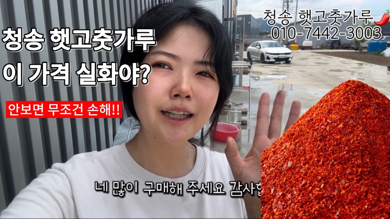 2025 청송 햇고춧가루 판매해요!