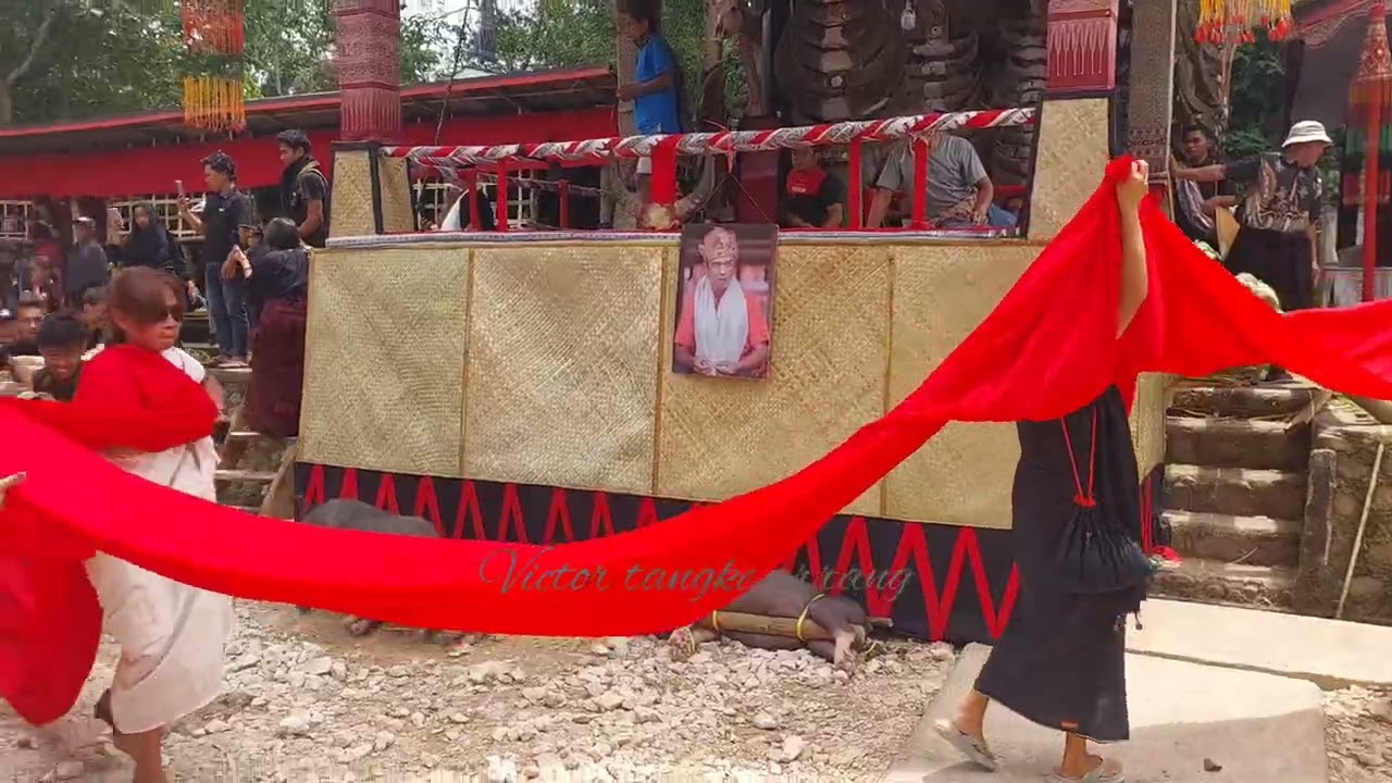 Prosesi ritual adat rambu solo' ma'palao Alm.Bastian Sarapang (pong Rey) #goragoratongkon
