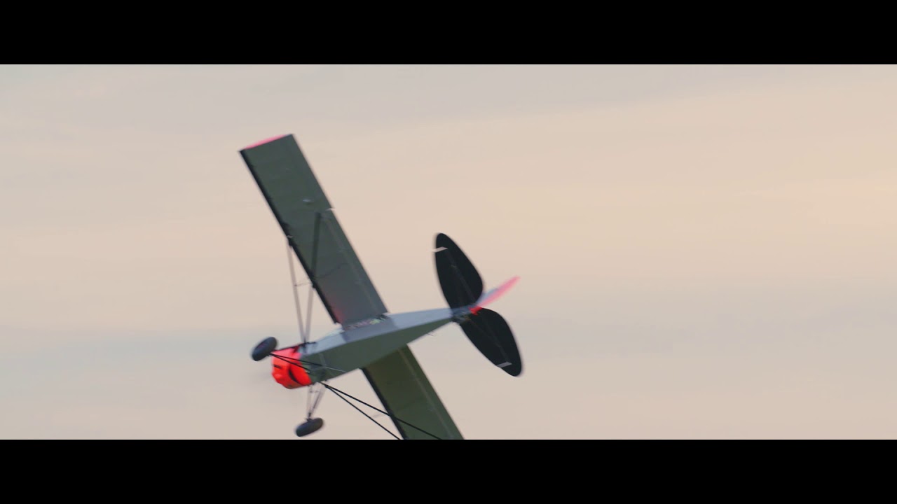 Shock Cub 915