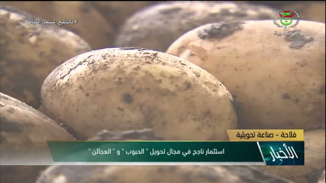 فلاحة - صناعة تحويلية | استثمار ناجح في مجال تحويل الحبوب والعجائن