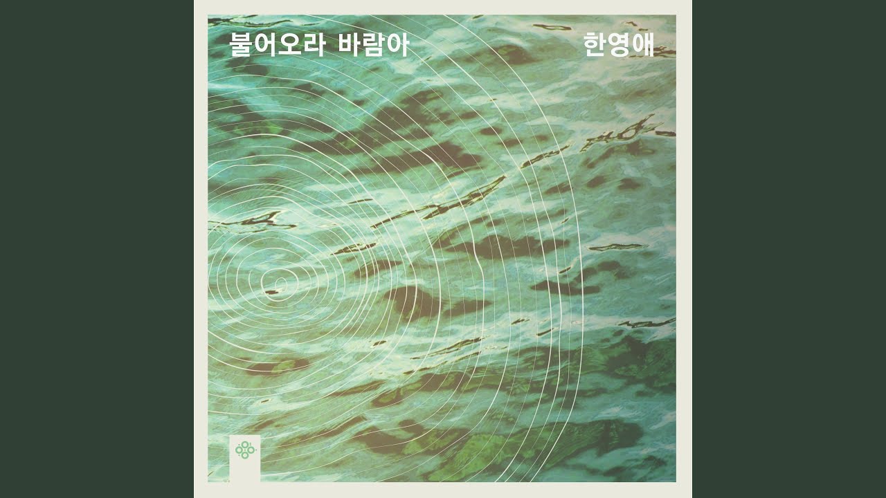 가을 시선 Autumn Glimpses