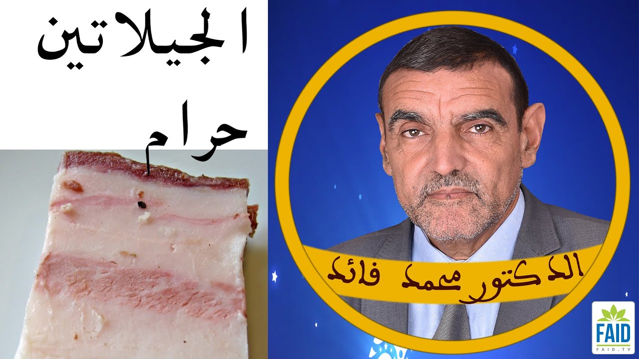 الجيلاتين حرام حتى لو كان من الغنم أو البقر  | الدكتور الفايد